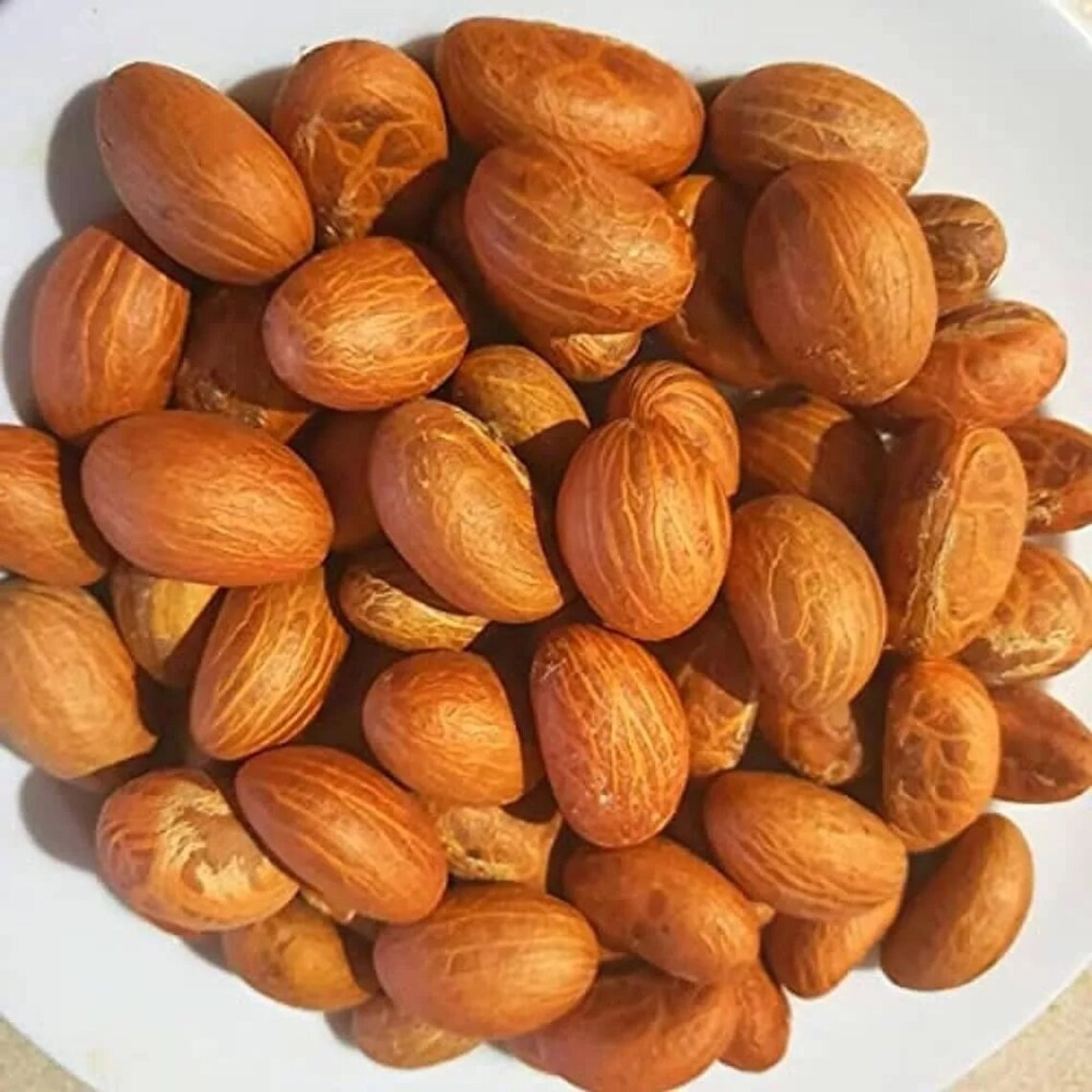 Bitter Kola Nuts