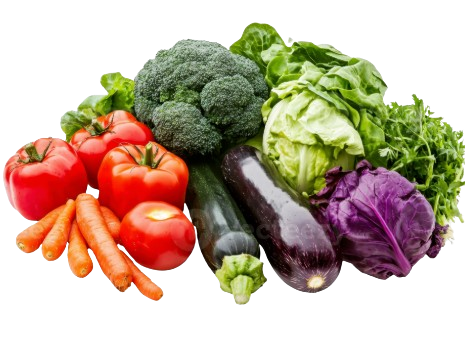 Fresh Vegetables